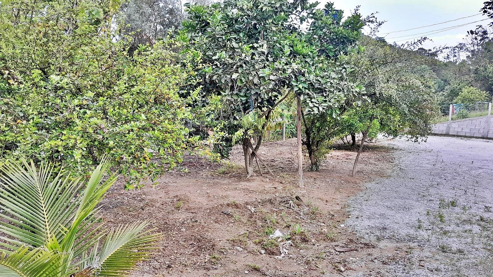 Casa 3 Quartos, 1 Suíte, 1.600M² Terreno - Sorocaba de Fora - Foto 20