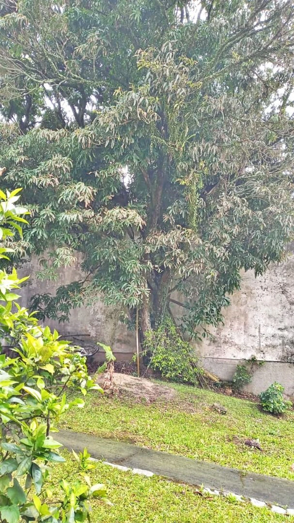 Terreno 971 m² , Escritura - Centro Histórico - Foto 10