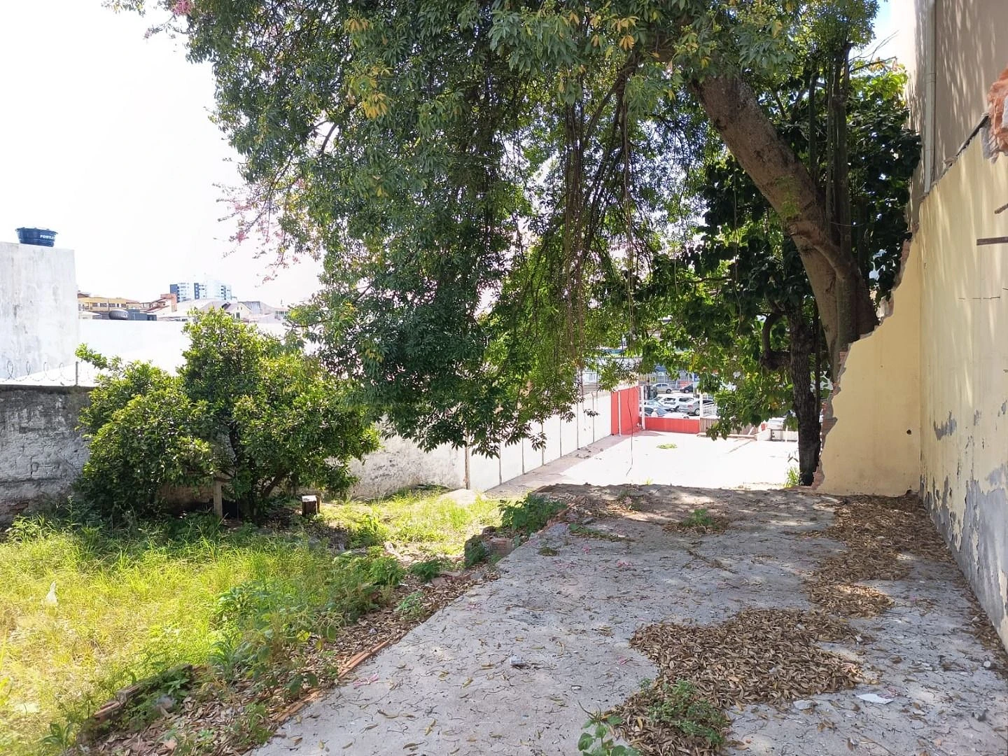 Terreno à Venda - Capoeiras - Florianópolis/SC - Foto 12