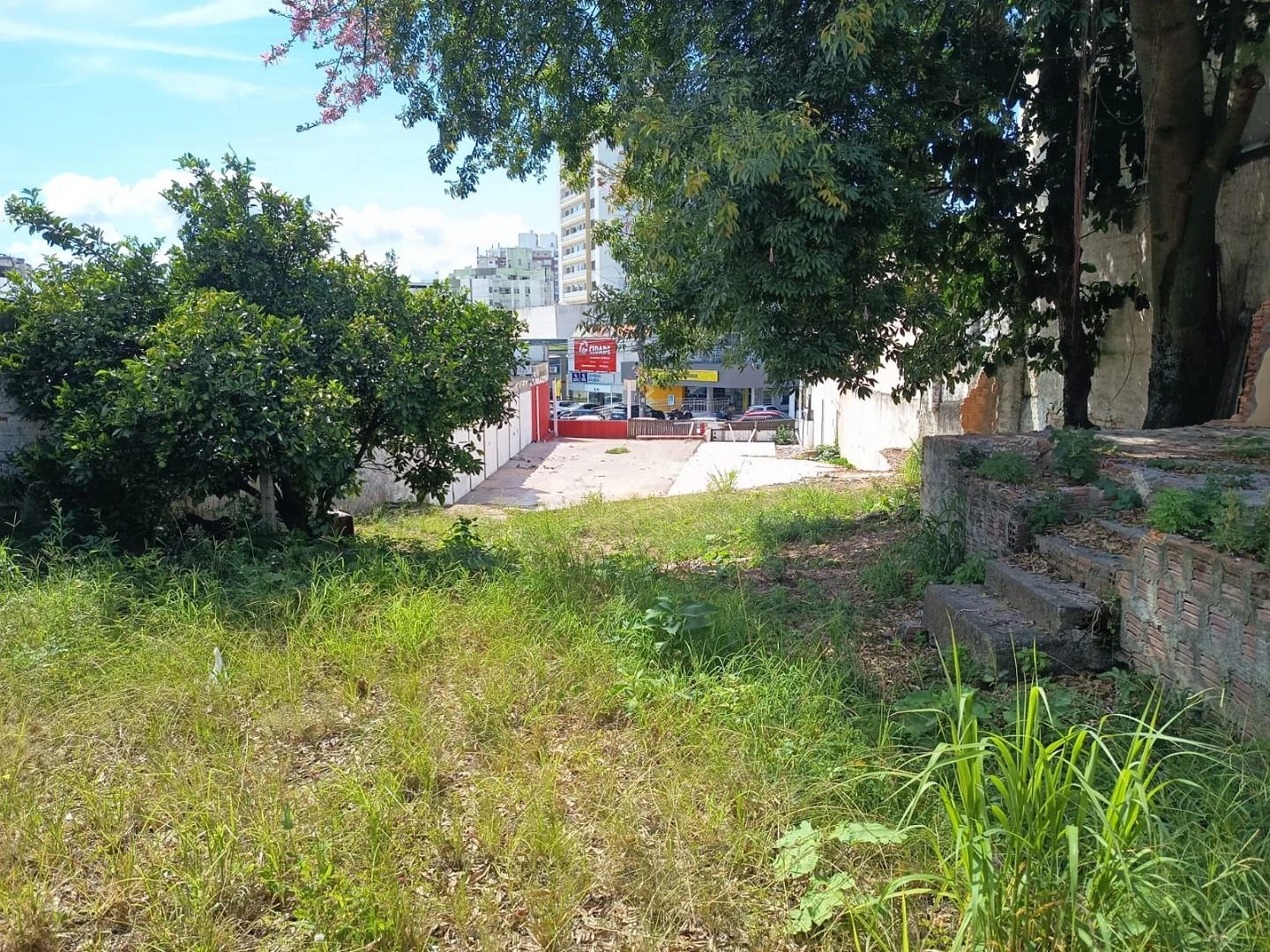 Terreno à Venda - Capoeiras - Florianópolis/SC - Foto 13