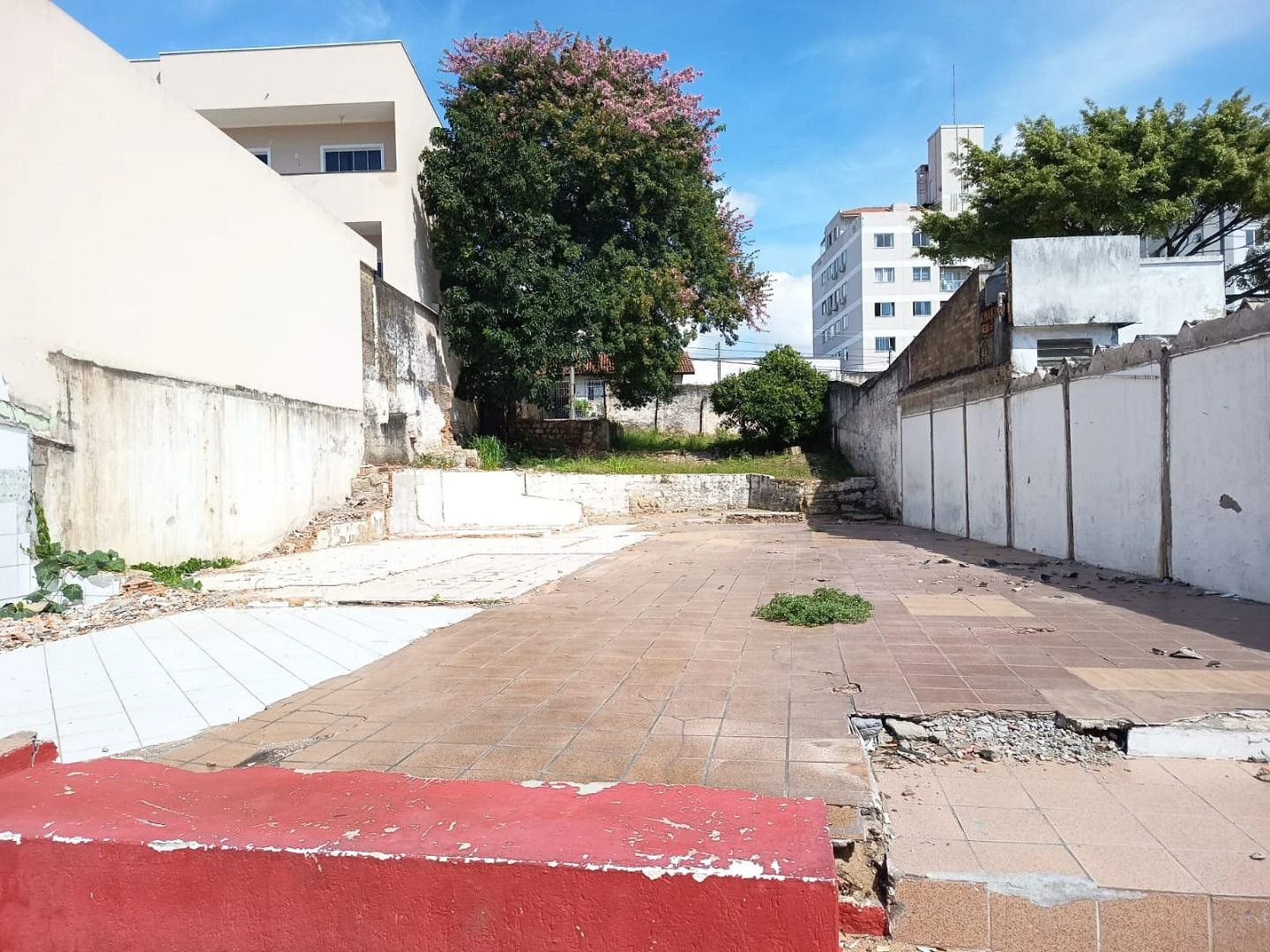 Terreno à Venda - Capoeiras - Florianópolis/SC - Foto 8