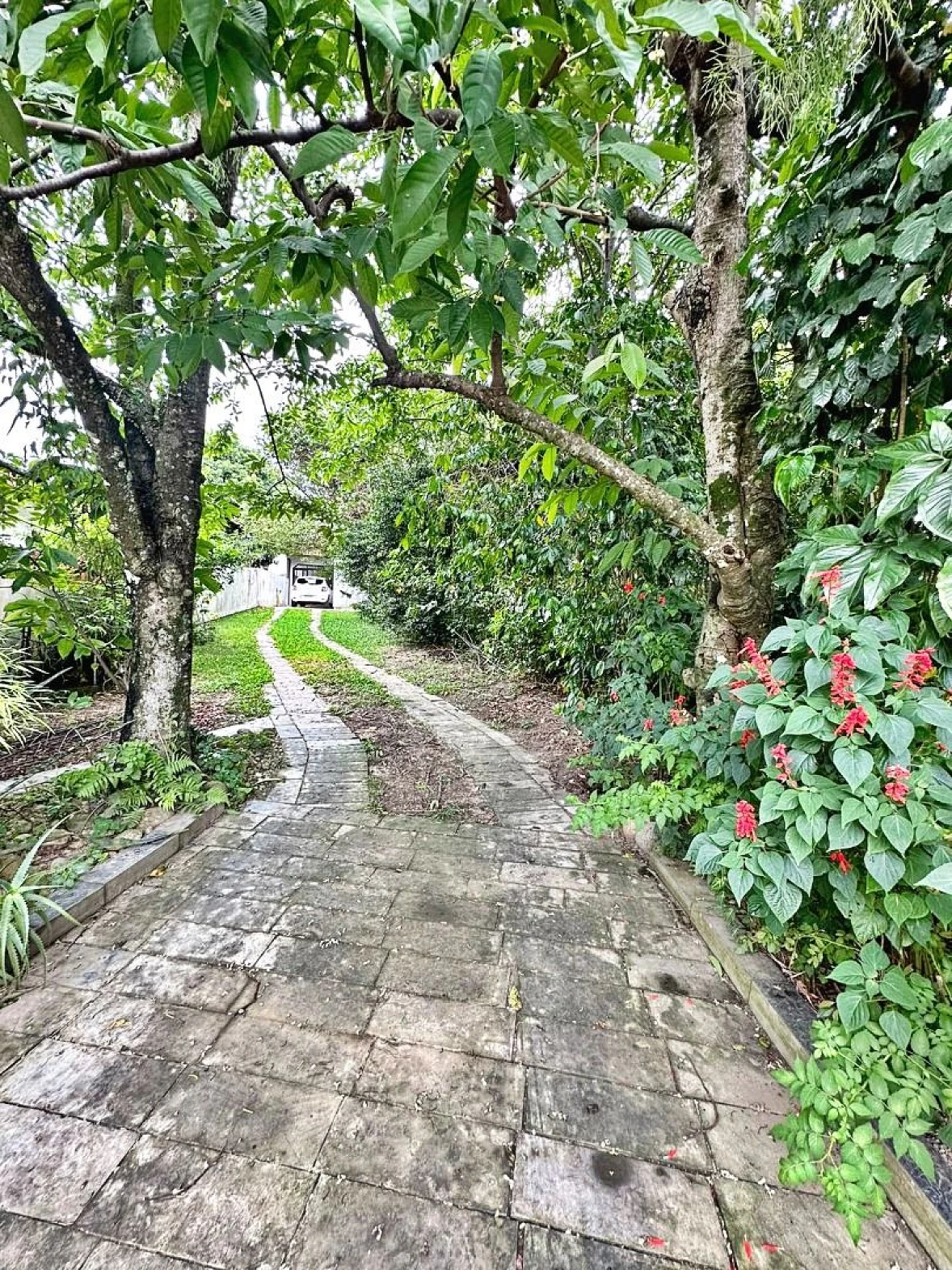 Casa em Passa Vinte, Palhoça