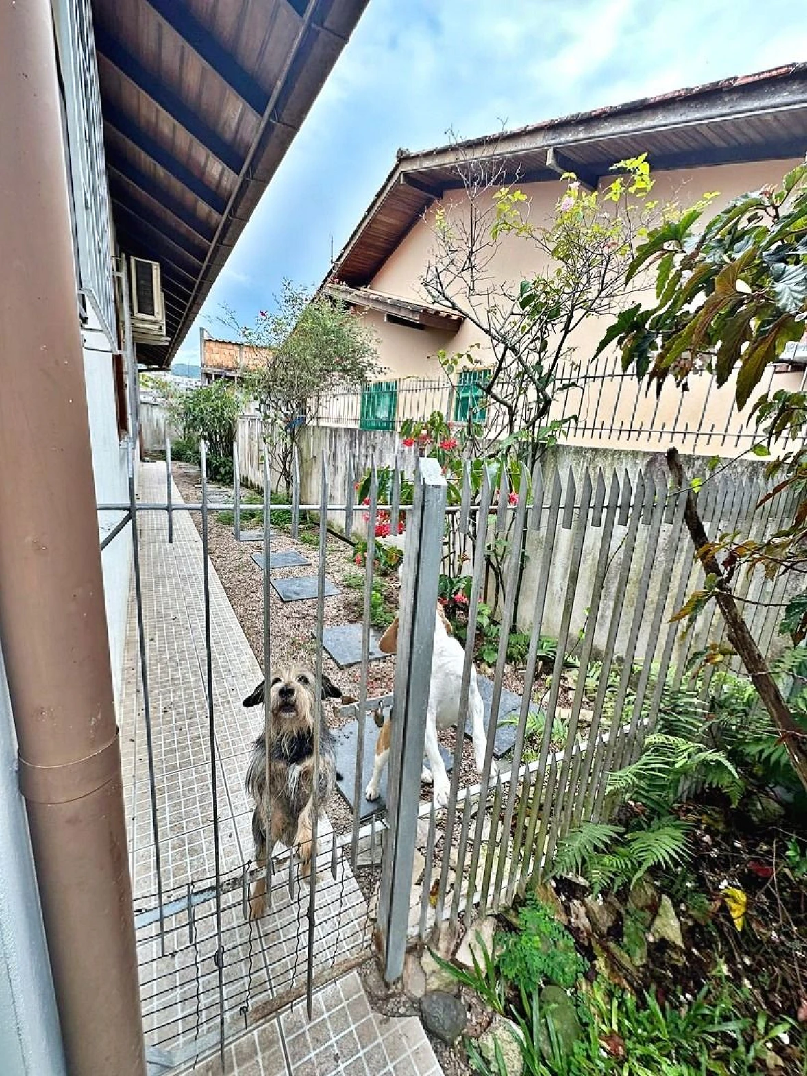 Casa, 4 Dormitórios, Suíte, Amplo Quintal, Bairro Passa Vinte, Palhoça/SC - Foto 8