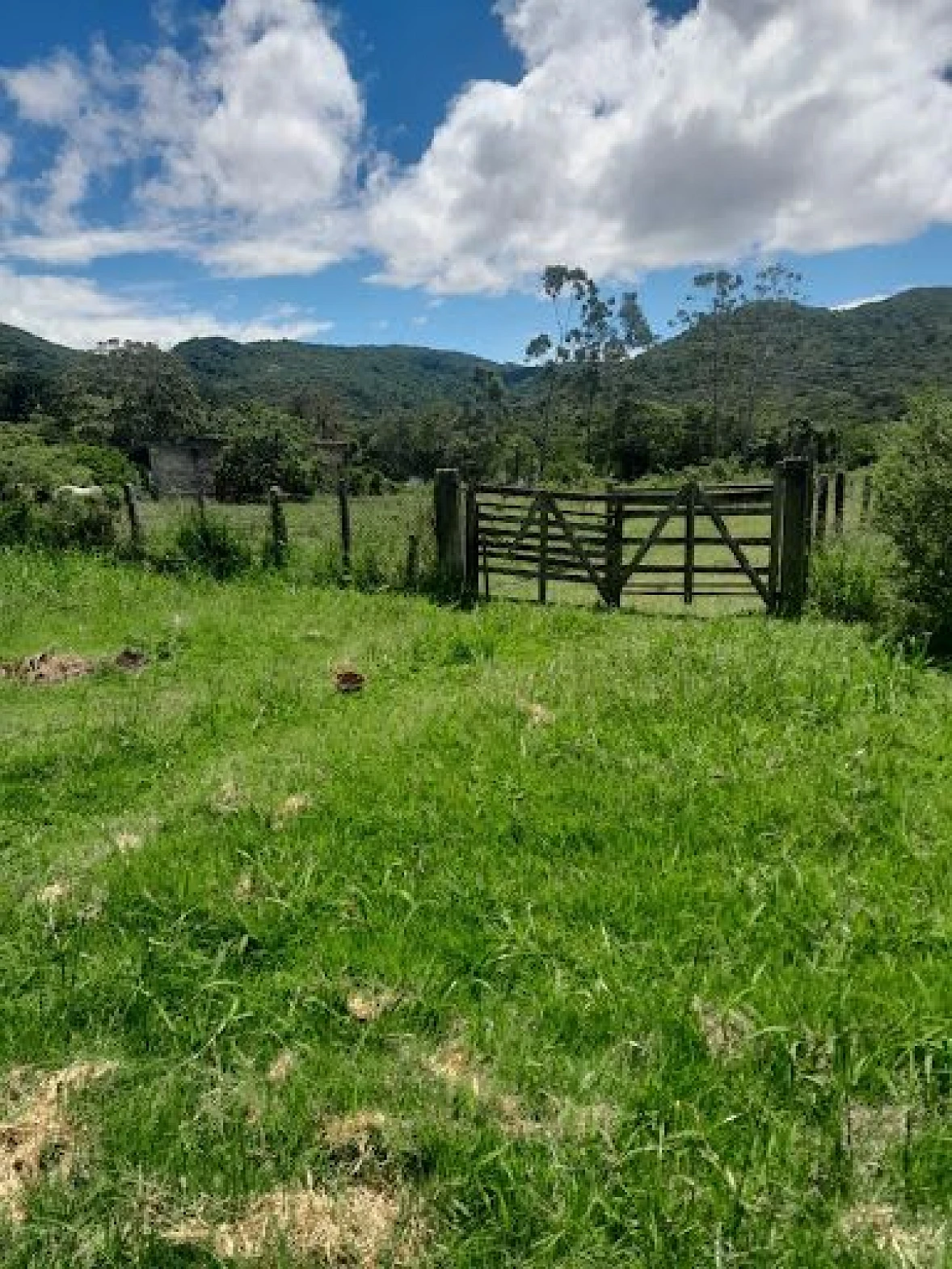 Lindo Terreno à Venda, 5280 m² - Ratones - Florianópolis/SC - Foto 9