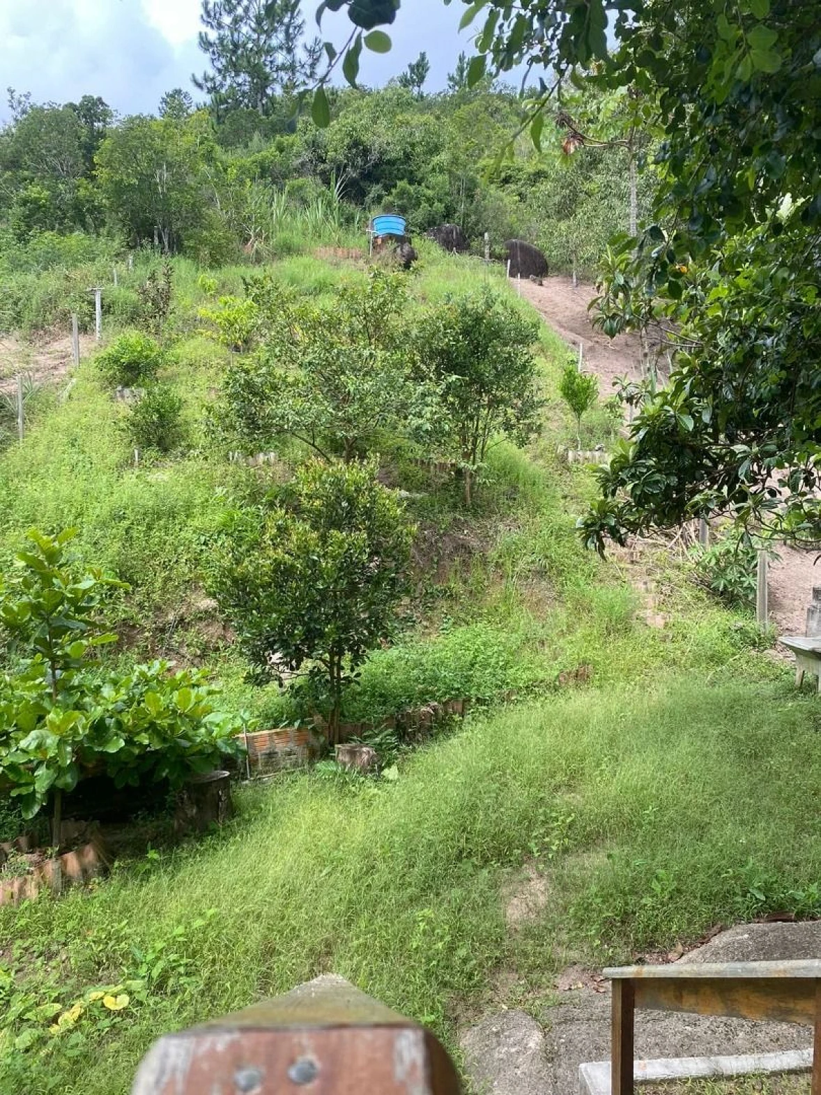 Casa a Venda  - Canto dos Ganchos - Governador Celso Ramos/SC - Foto 23