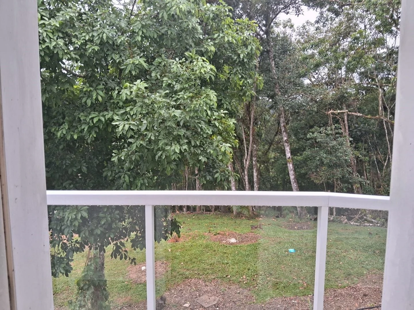 Sítio no Monte Verde 40.000 m² - Bairro Envernada - Foto 17