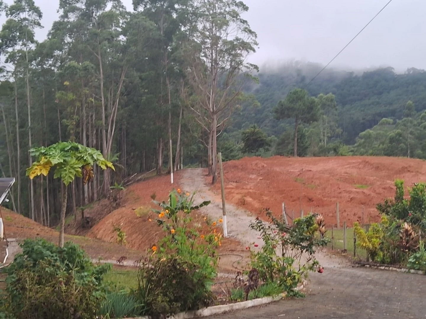 Sítio no Monte Verde 40.000 m² - Bairro Envernada - Foto 32