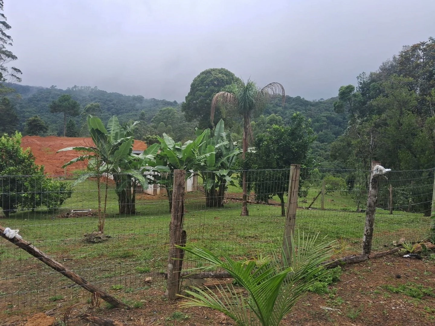 Sítio no Monte Verde 40.000 m² - Bairro Envernada - Foto 34