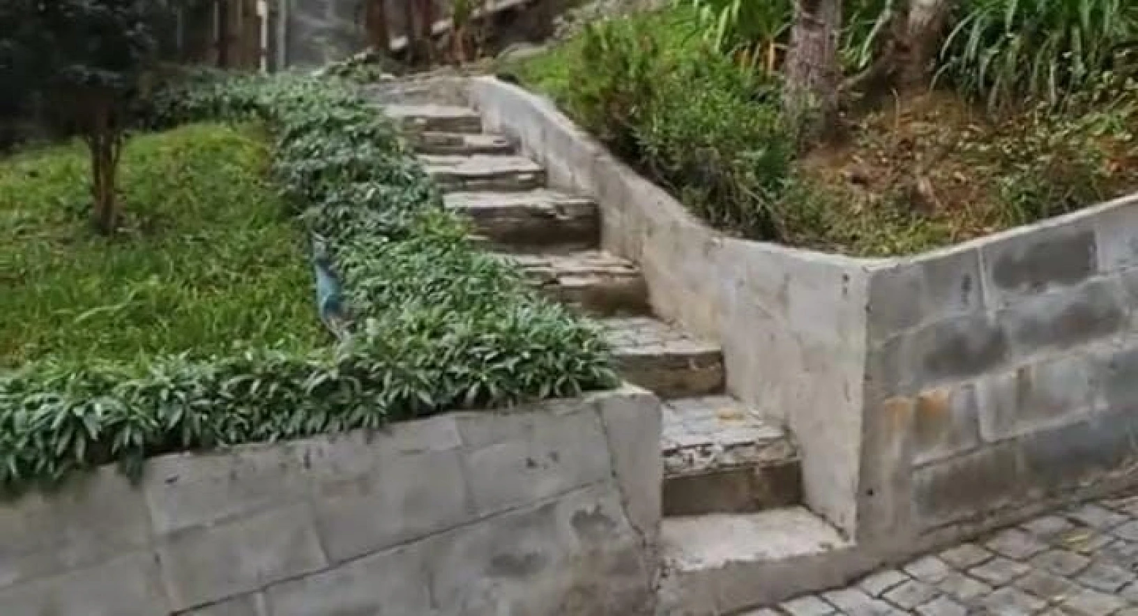 Casa a Venda - Águas Mornas - Águas Mornas/SC - Foto 11