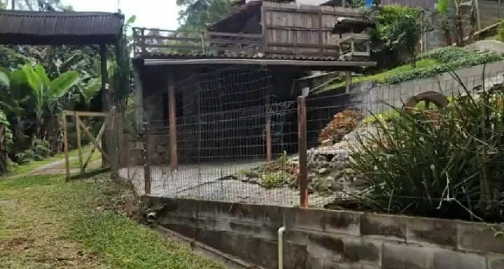 Casa a Venda - Águas Mornas - Águas Mornas/SC - Foto 15