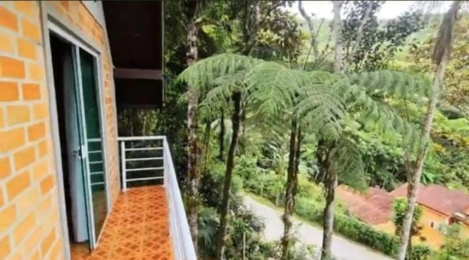 Casa a Venda - Águas Mornas - Águas Mornas/SC - Foto 23