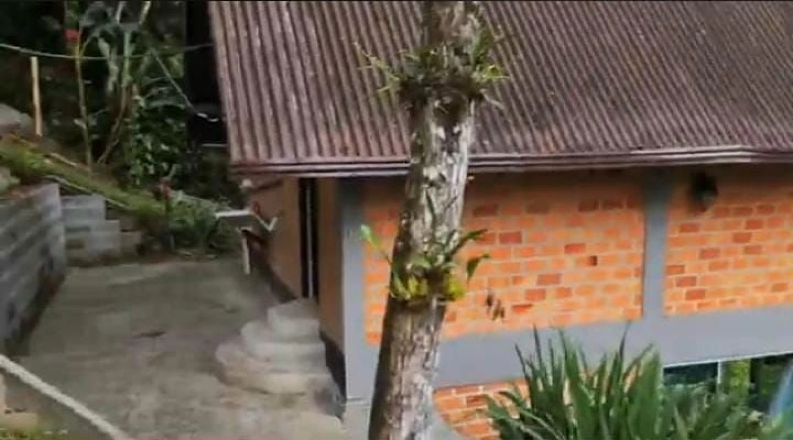 Casa a Venda - Águas Mornas - Águas Mornas/SC - Foto 8
