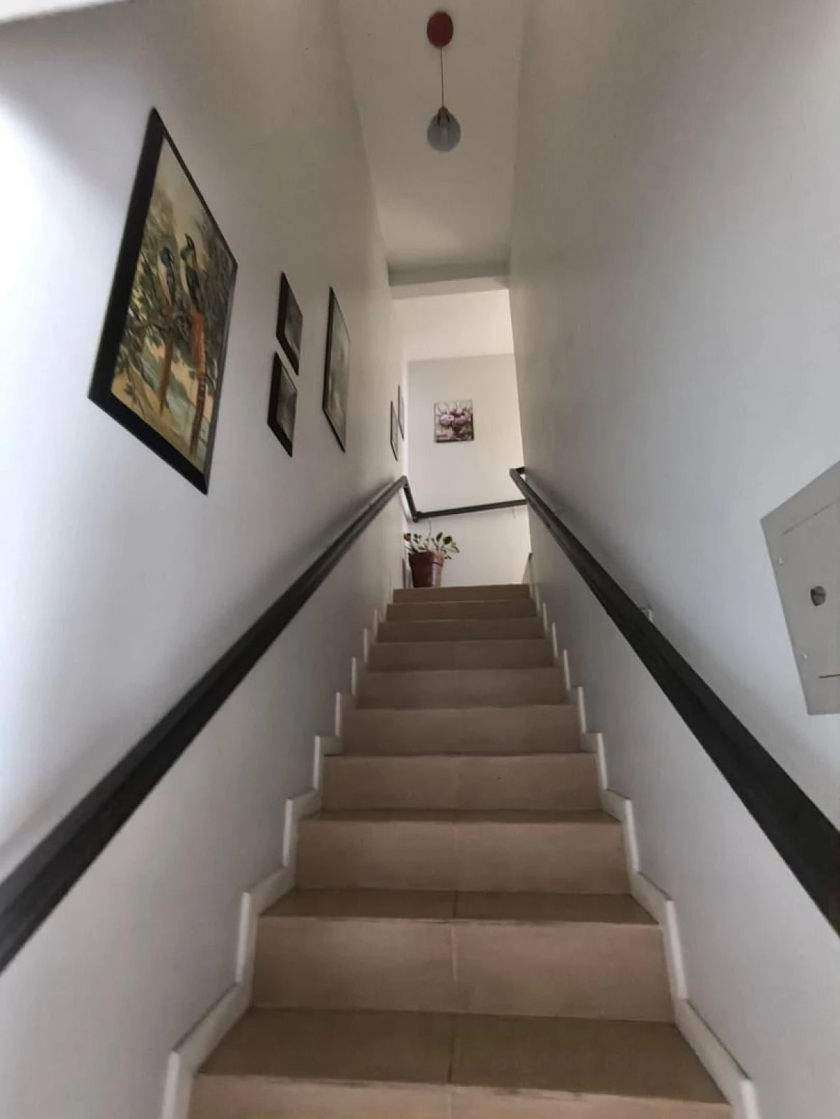 Casa com 5 Dormitórios à Venda, 142 m² - Capoeiras - Florianópolis/SC - Foto 18