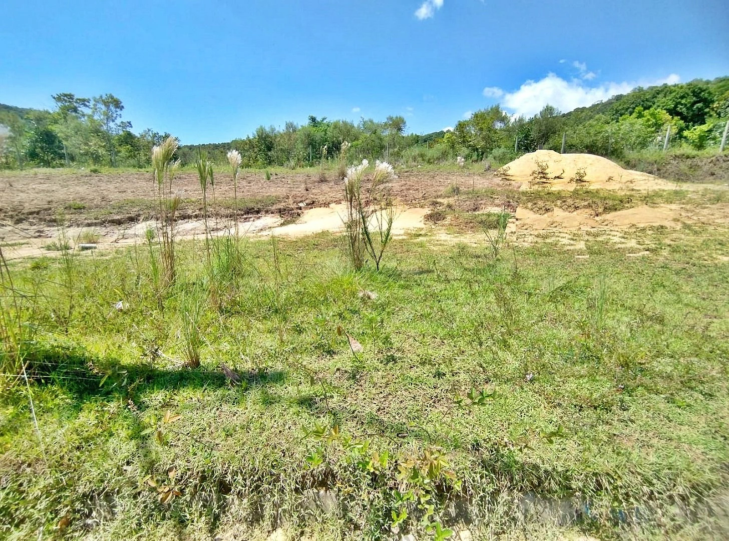 Terreno em Forquilhas, São José