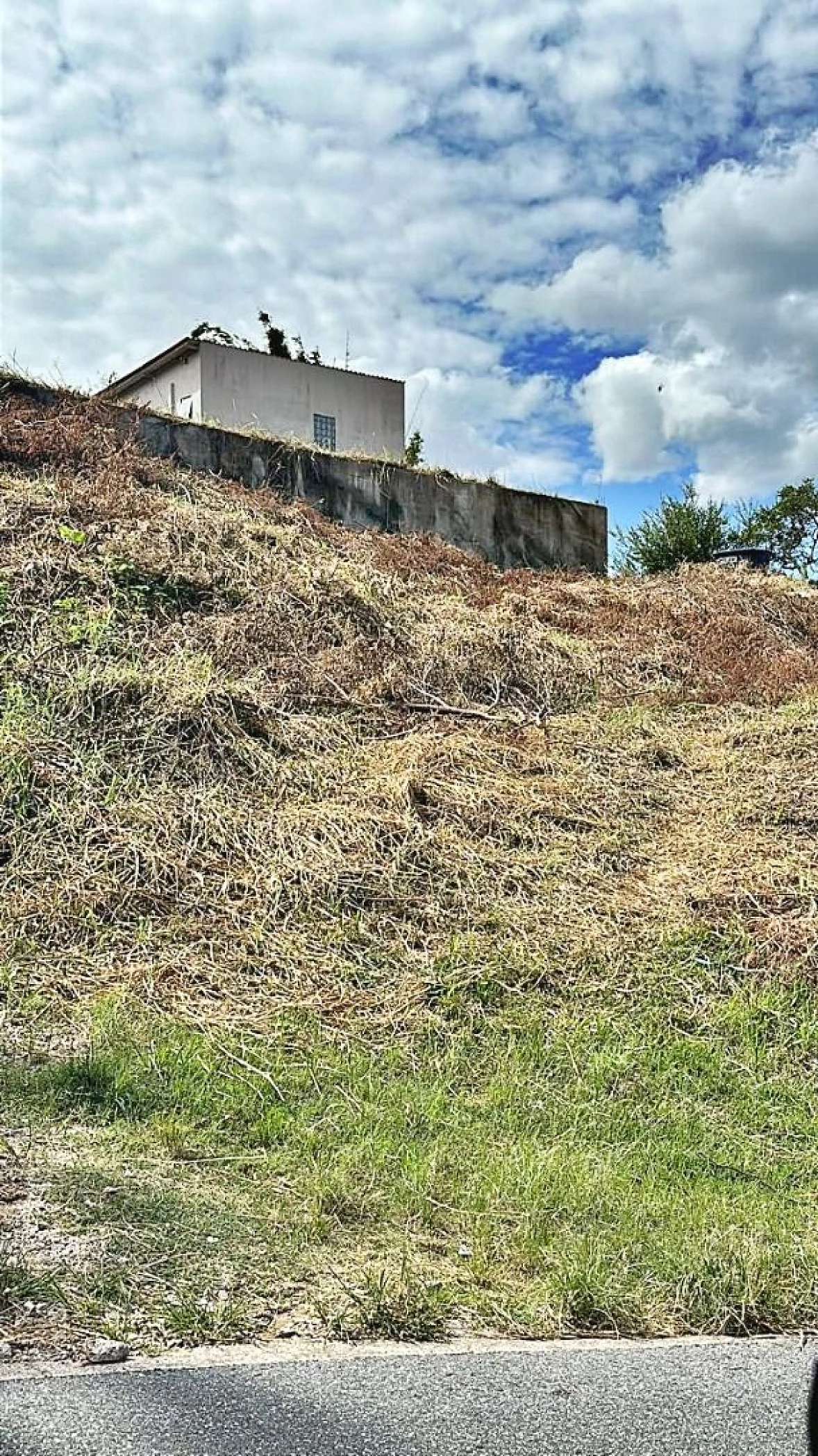 Terreno em Centro, São José