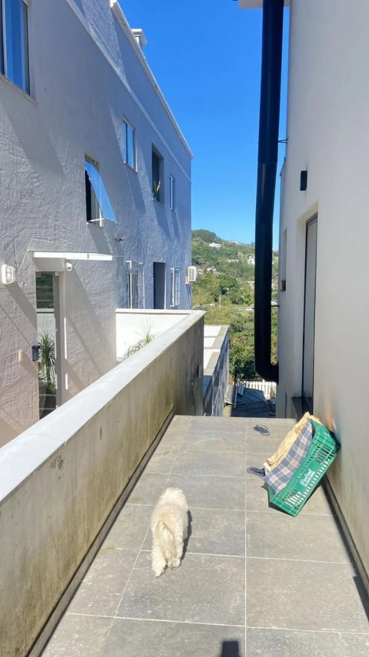 Casa a Venda com 4 Dormitórios à Venda - Potecas - São José/SC - Foto 21