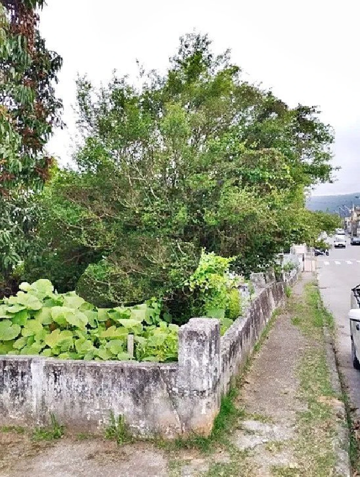 Terreno em Bom Viver, Biguaçu