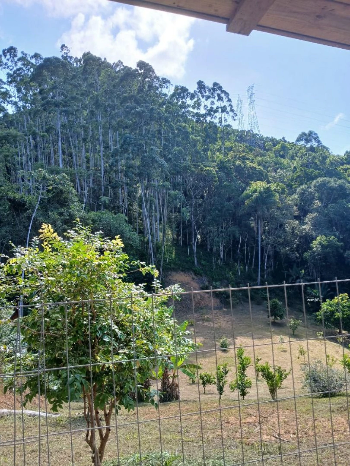 Sítio com Casa à Venda, 20000 m² por R$ 877.000 - Área Rural de Biguaçu - Biguaçu/SC - Foto 10