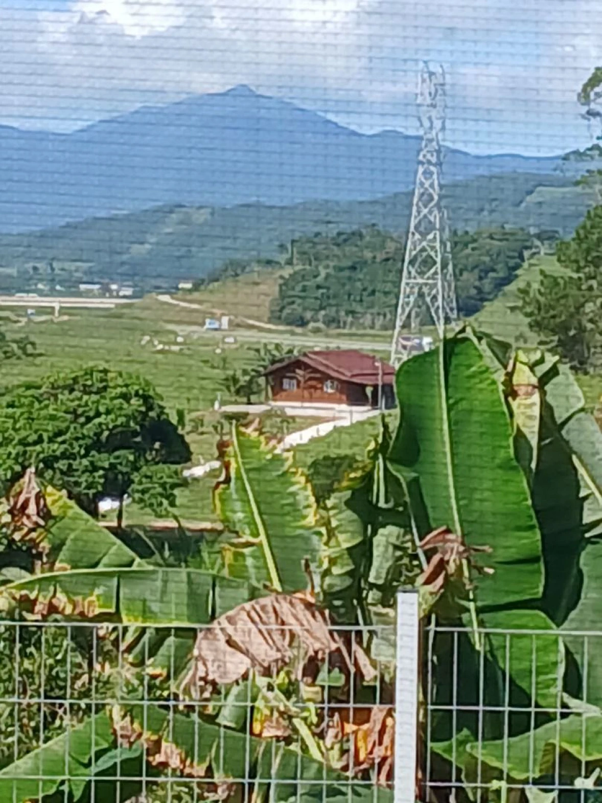 Sítio com Casa à Venda, 20000 m² por R$ 877.000 - Área Rural de Biguaçu - Biguaçu/SC - Foto 11