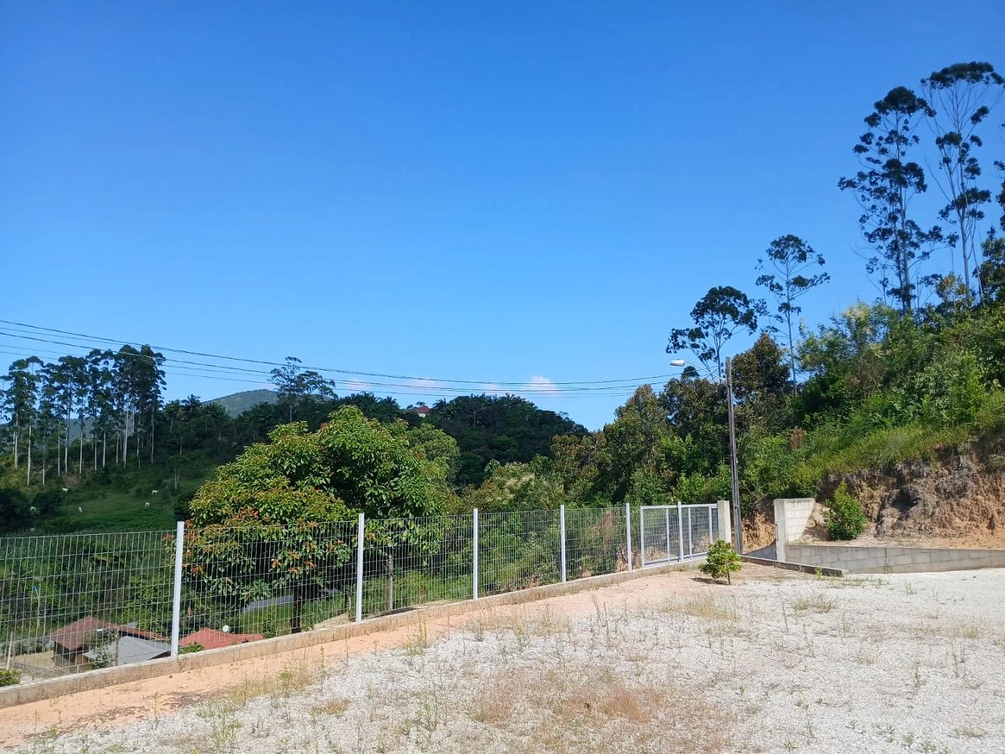 Sítio com Casa à Venda, 20000 m² por R$ 877.000 - Área Rural de Biguaçu - Biguaçu/SC - Foto 8