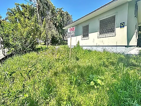 Terreno com 1.316M2 Casa 3 Quartos 90m² - Real Parque - Foto 10
