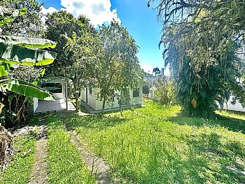 Terreno com 1.316M2 Casa 3 Quartos 90m² - Real Parque - Foto 6