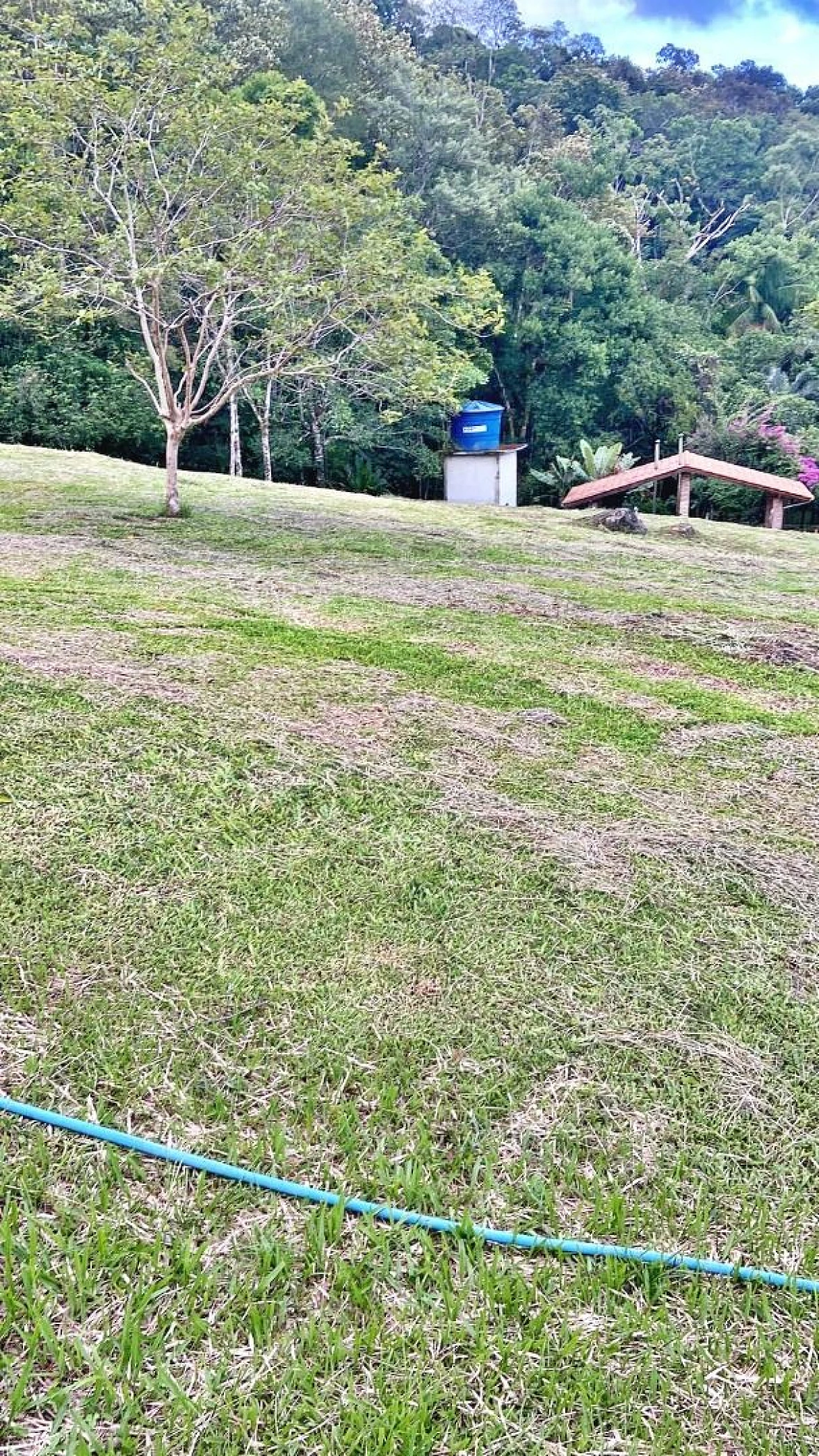 Excelente Terreno com 36.000M² em Sorocaba - Biguaçu/SC - Foto 22