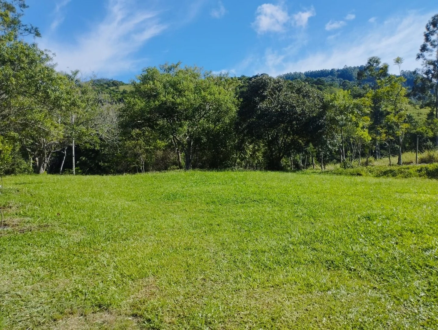 Terreno em Ribeirão de Imaruí, Imaruí