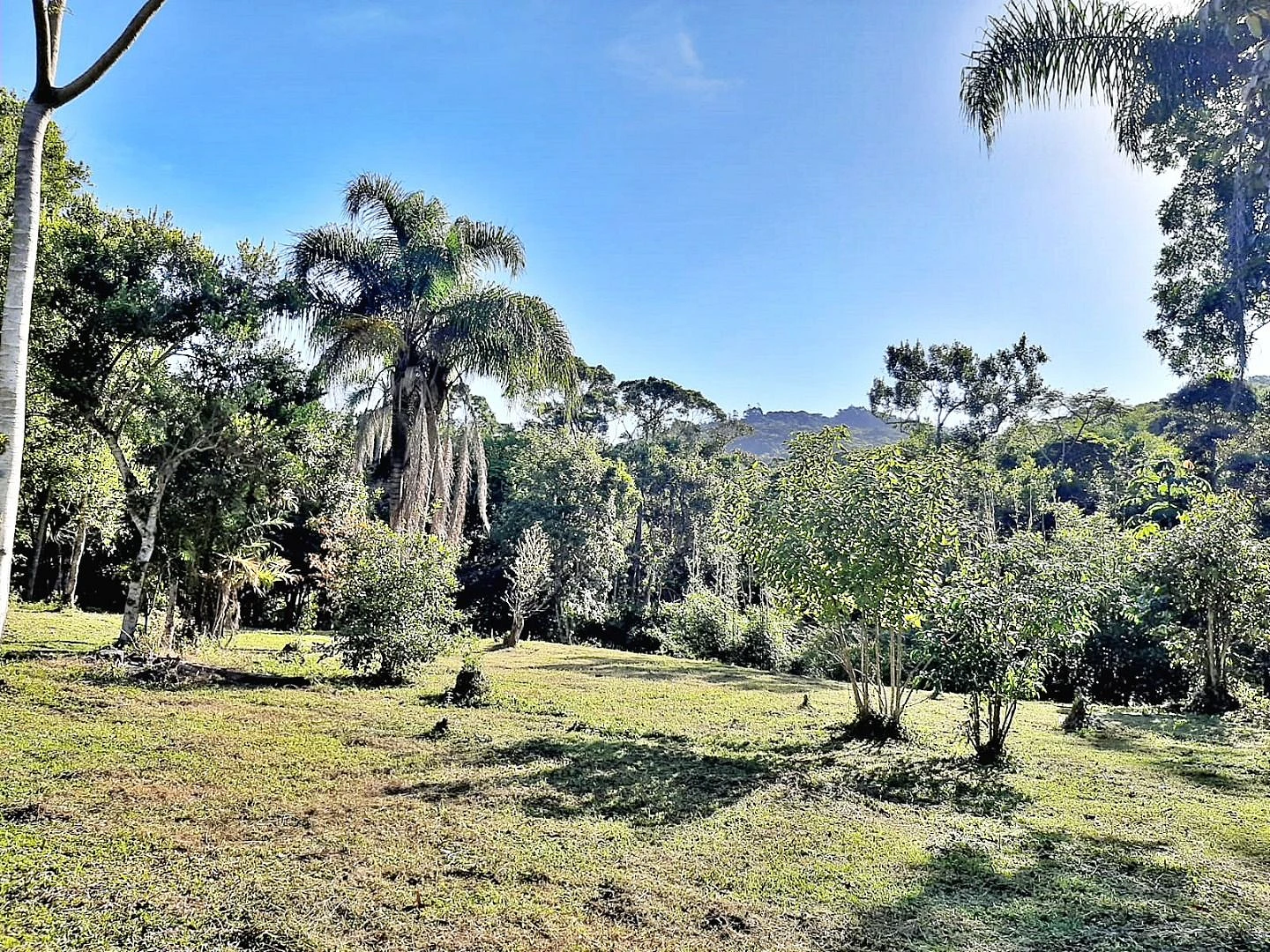 Terreno em Ribeirão de Imaruí, Imaruí