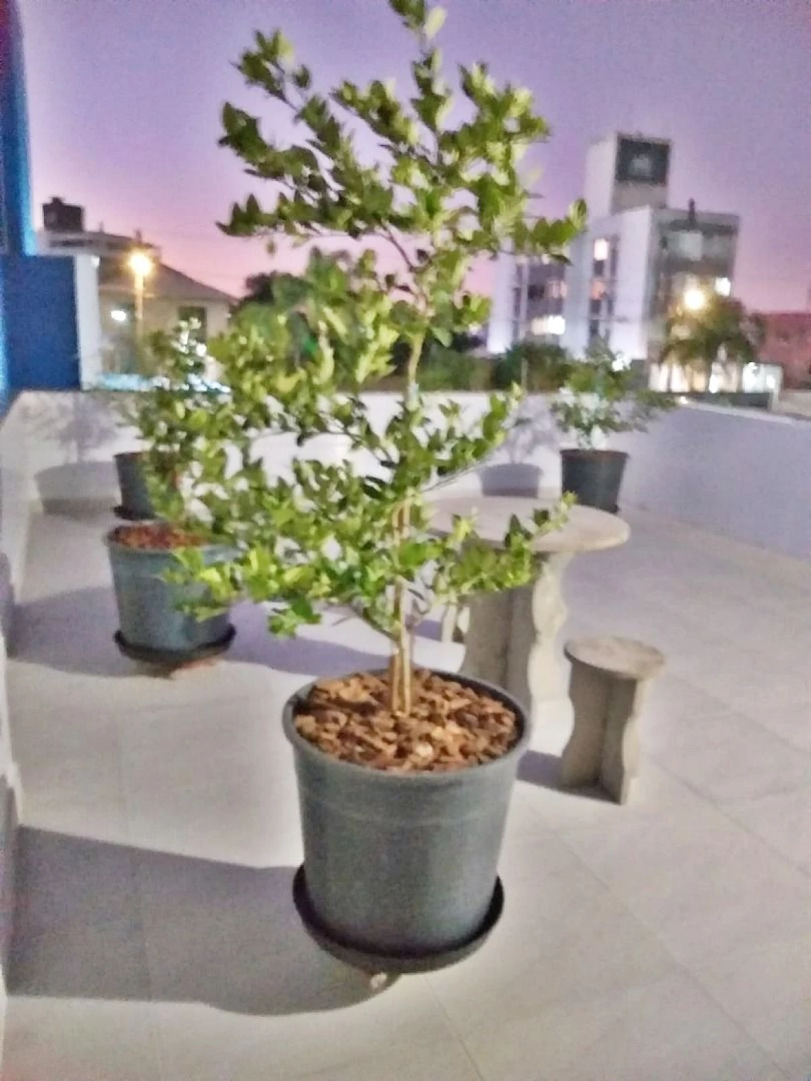 Casa 3 Quartos, 2 Suítes, 2 Vagas - Praia de Fora - Foto 20