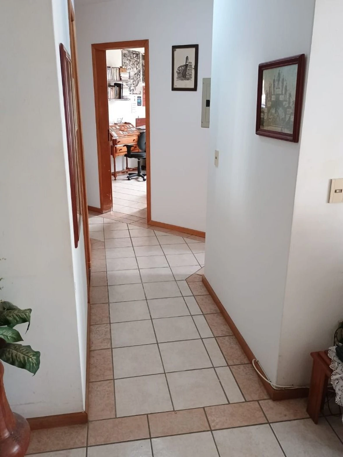 Apartamento 3 Quartos, Suite, 02 Vagas - Capoeiras, Florianópolis SC - Foto 17