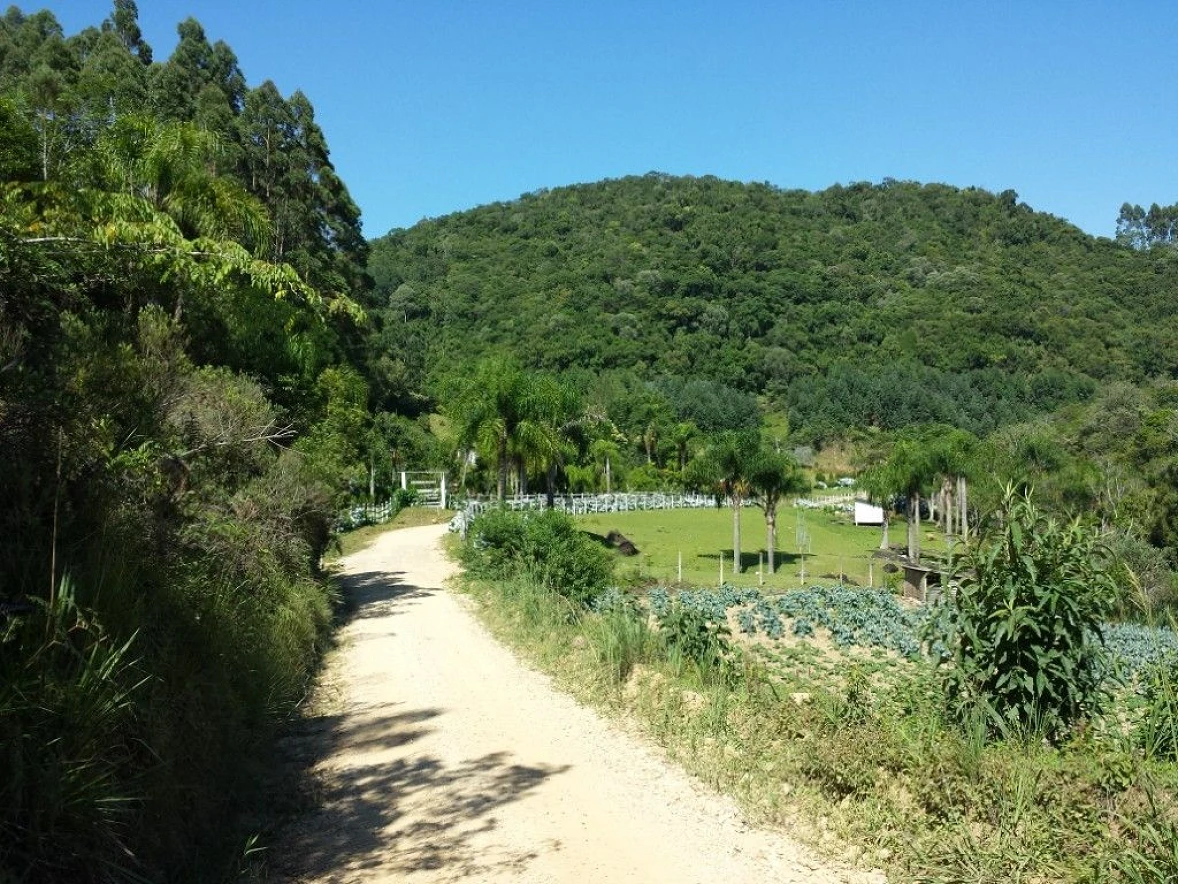 Sítio em Rio Scharf Rural, Rancho Queimado