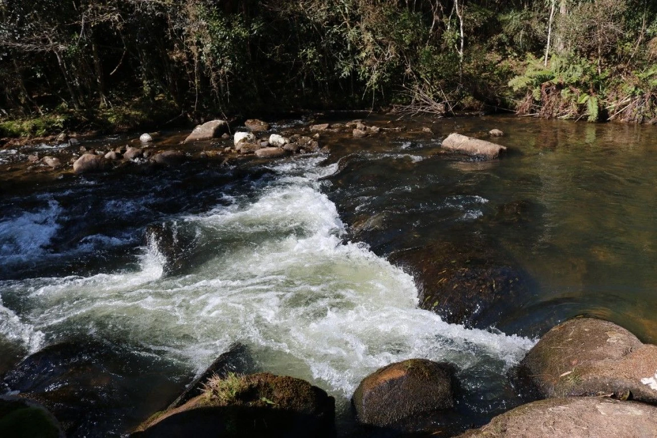 Sítio em Rio Scharf Rural, Rancho Queimado
