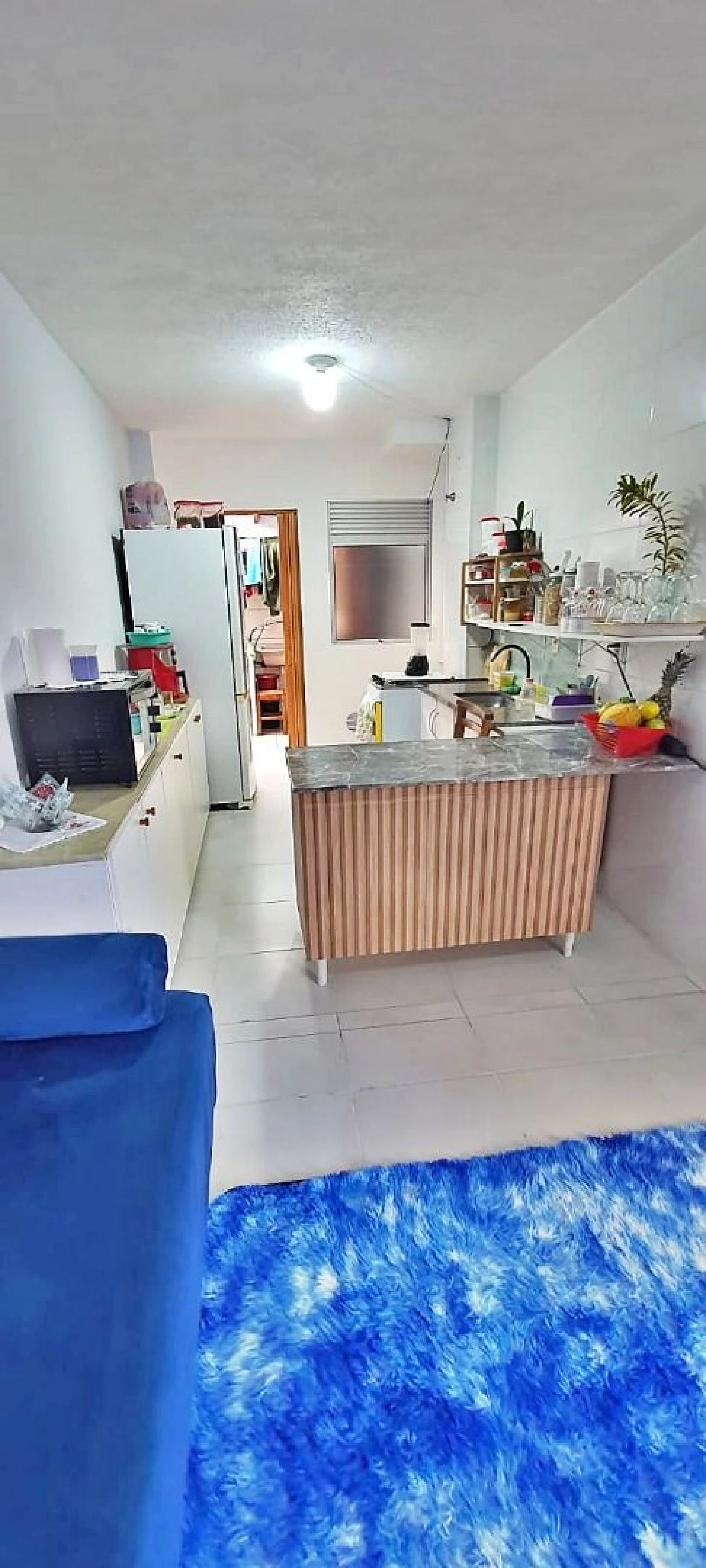 Apartamento em Guarda do Cubatão, Palhoça