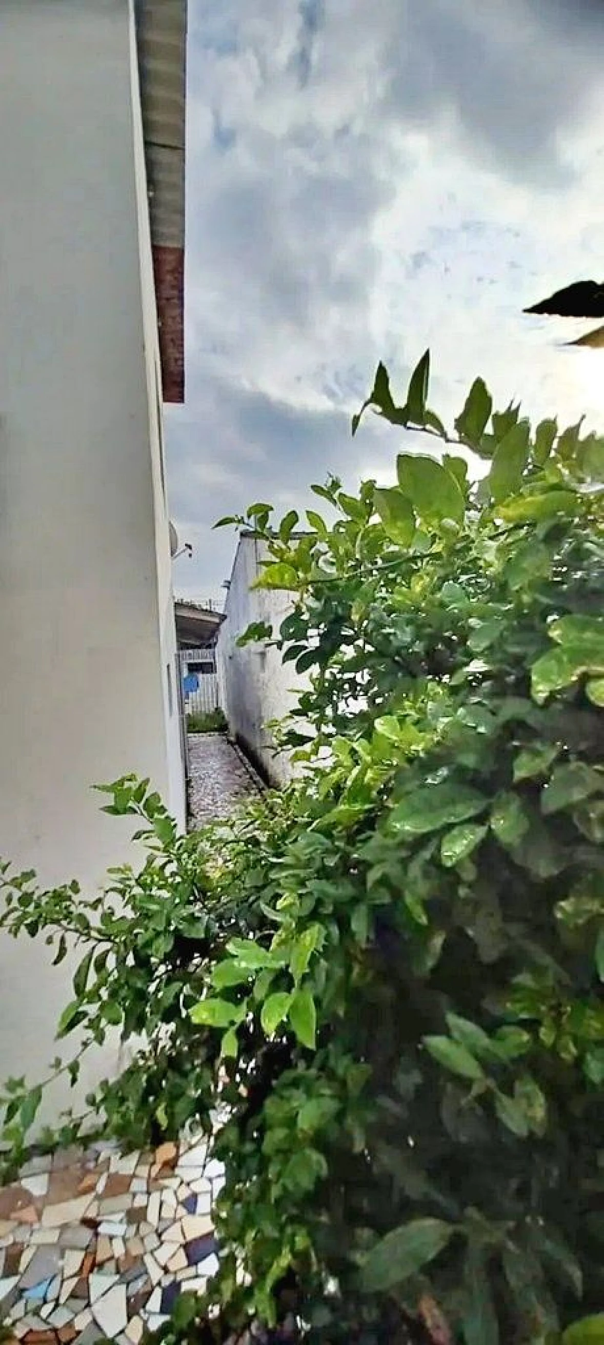 Casa 4 Quartos, 8 Vagas, Edícula - Caminho Novo - Foto 13