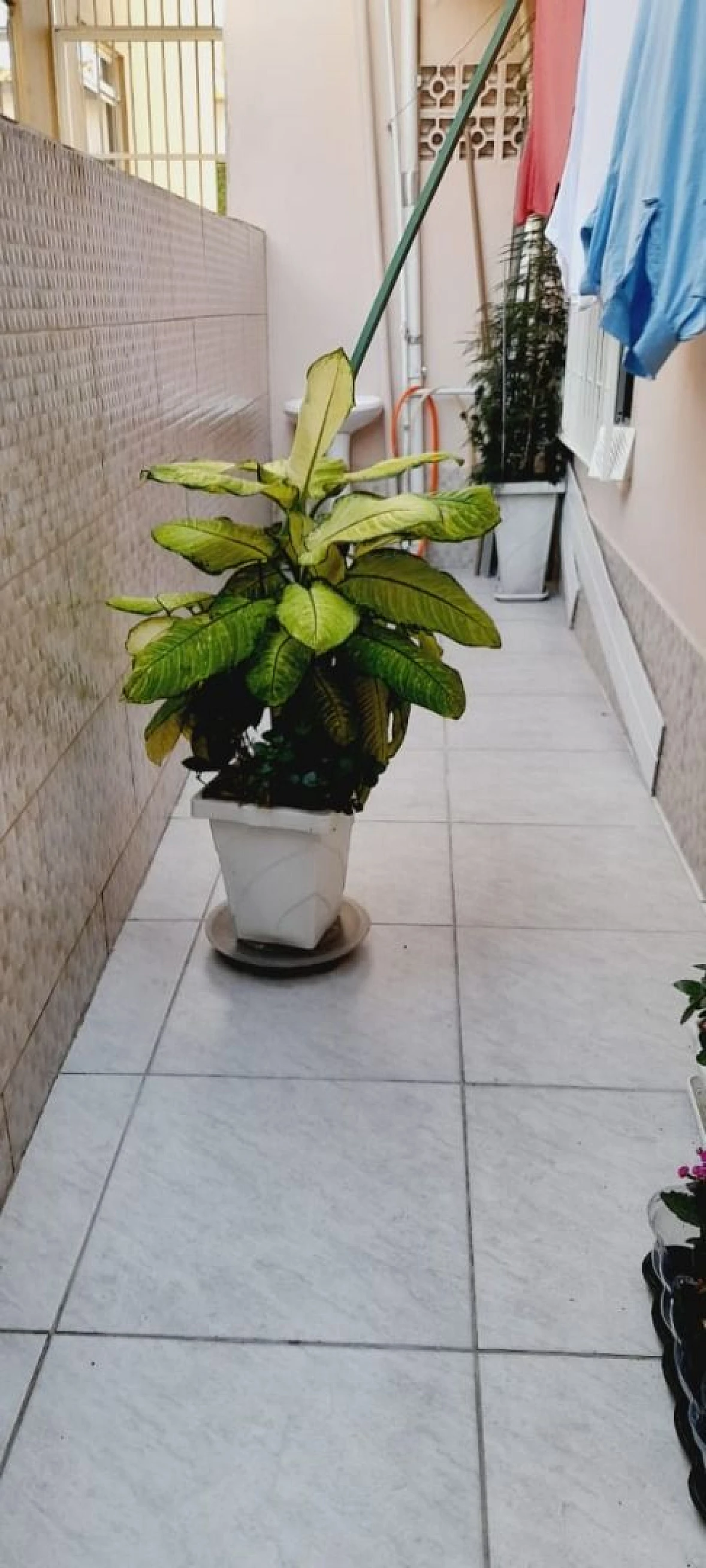 Casa com 5 Dorms - Kobrasol - São José/SC - Foto 12