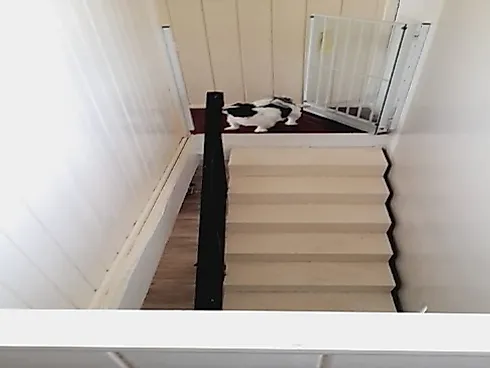 Casa a Venda  e Terreno Amplo, Boa Vista - Biguaçu/SC - Foto 11