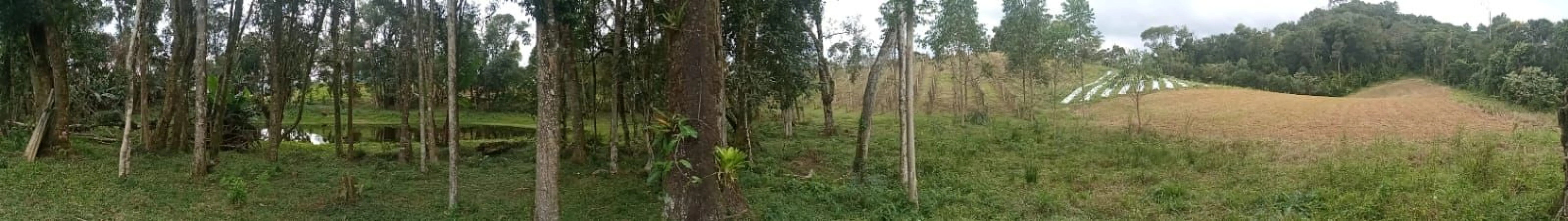 Chácara com 20.000M², Selo Orgânico em Rancho Queimado SC