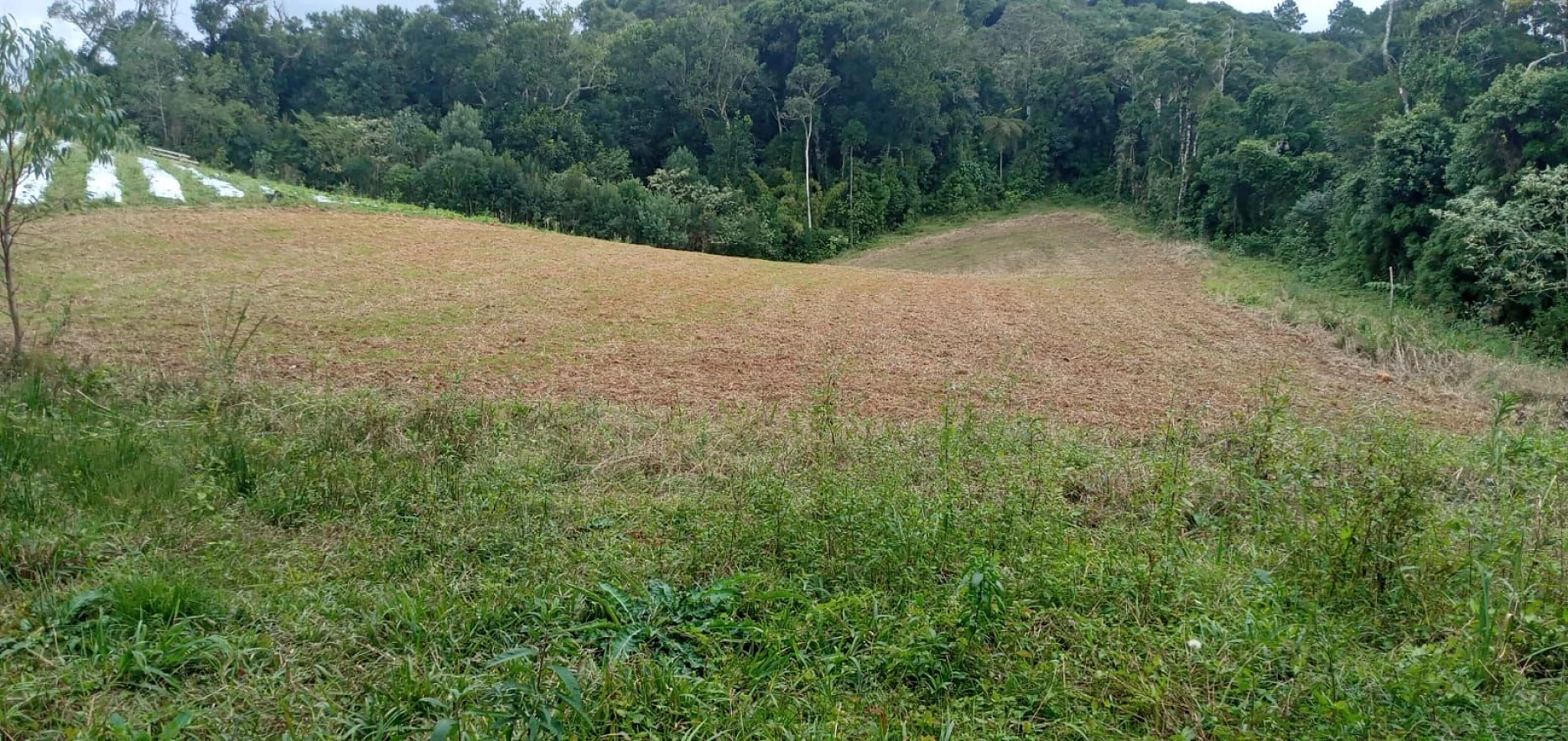 Chácara em Rio Miguel, Rancho Queimado
