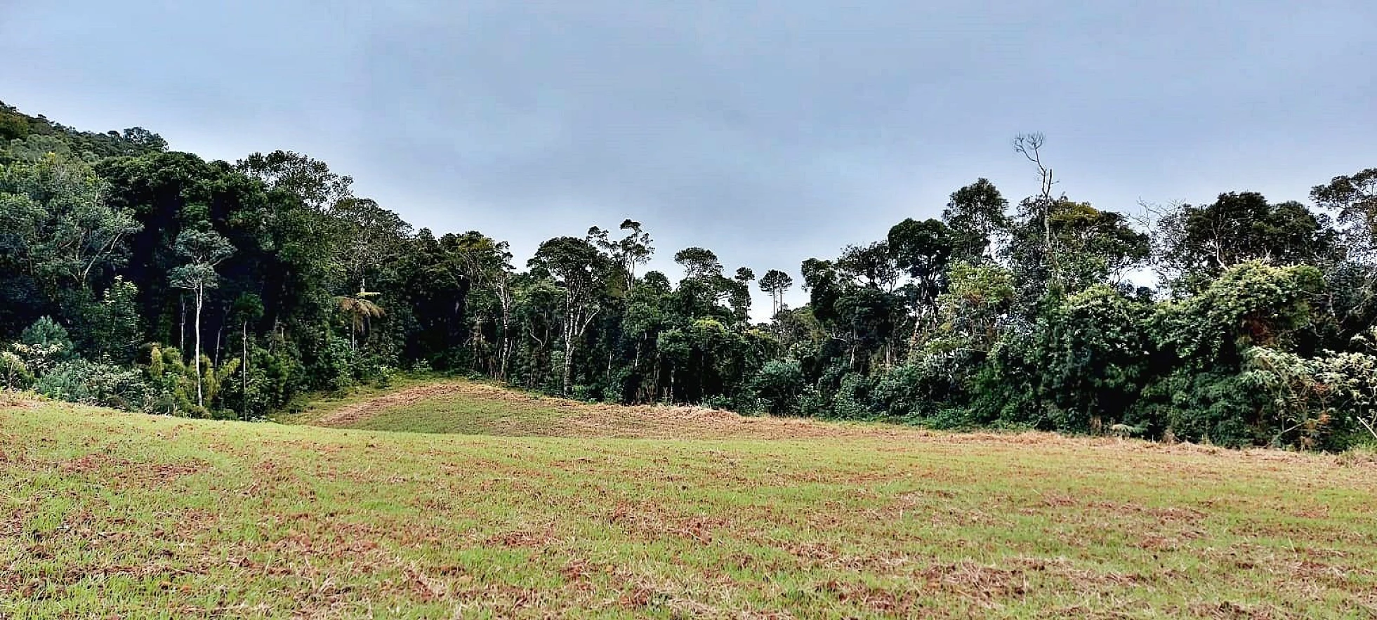 Chácara com 20.000M², Selo Orgânico em Rancho Queimado SC - Foto 6