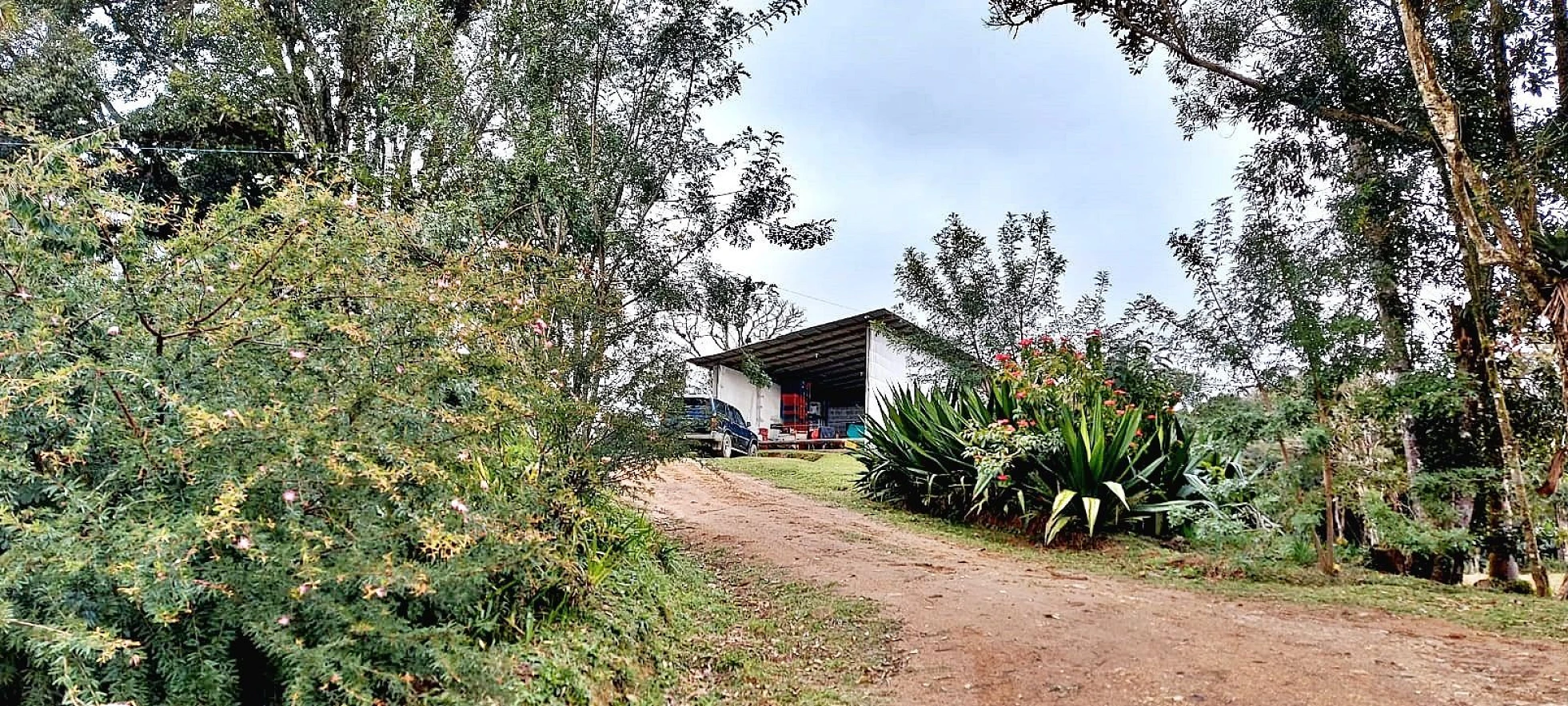 Chácara com 20.000M², Selo Orgânico em Rancho Queimado SC - Foto 9