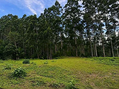 Centro, Águas Mornas