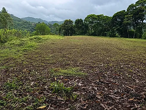 Terreno em Centro, Águas Mornas