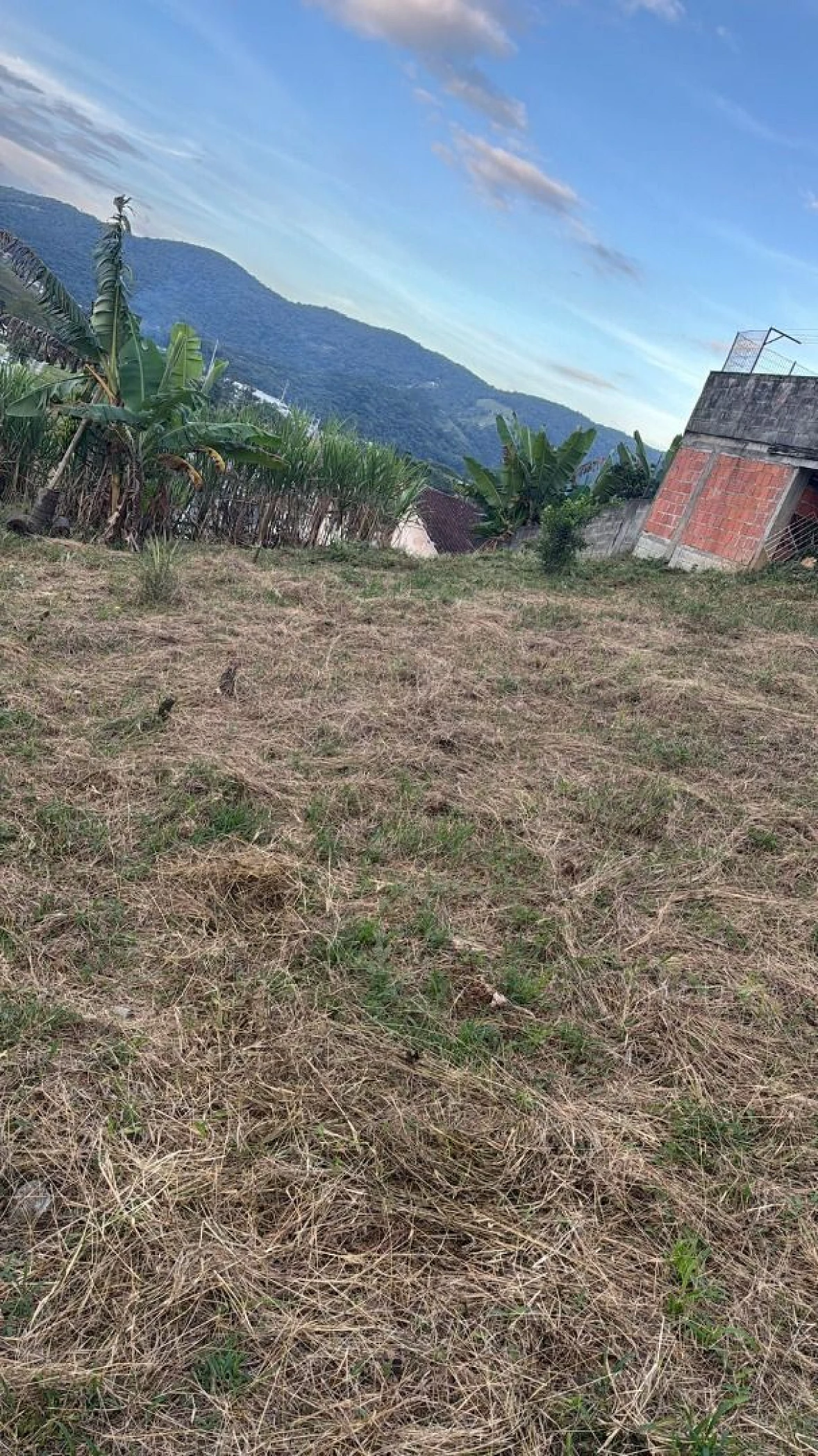 Terreno a Venda - Fazenda de Lurdes - Águas Mornas/SC - Foto 9