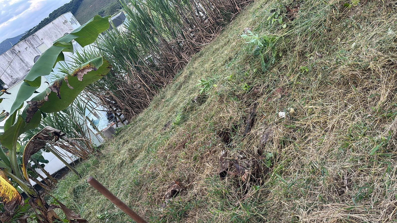 Terreno a Venda - Fazenda de Lurdes - Águas Mornas/SC - Foto 11