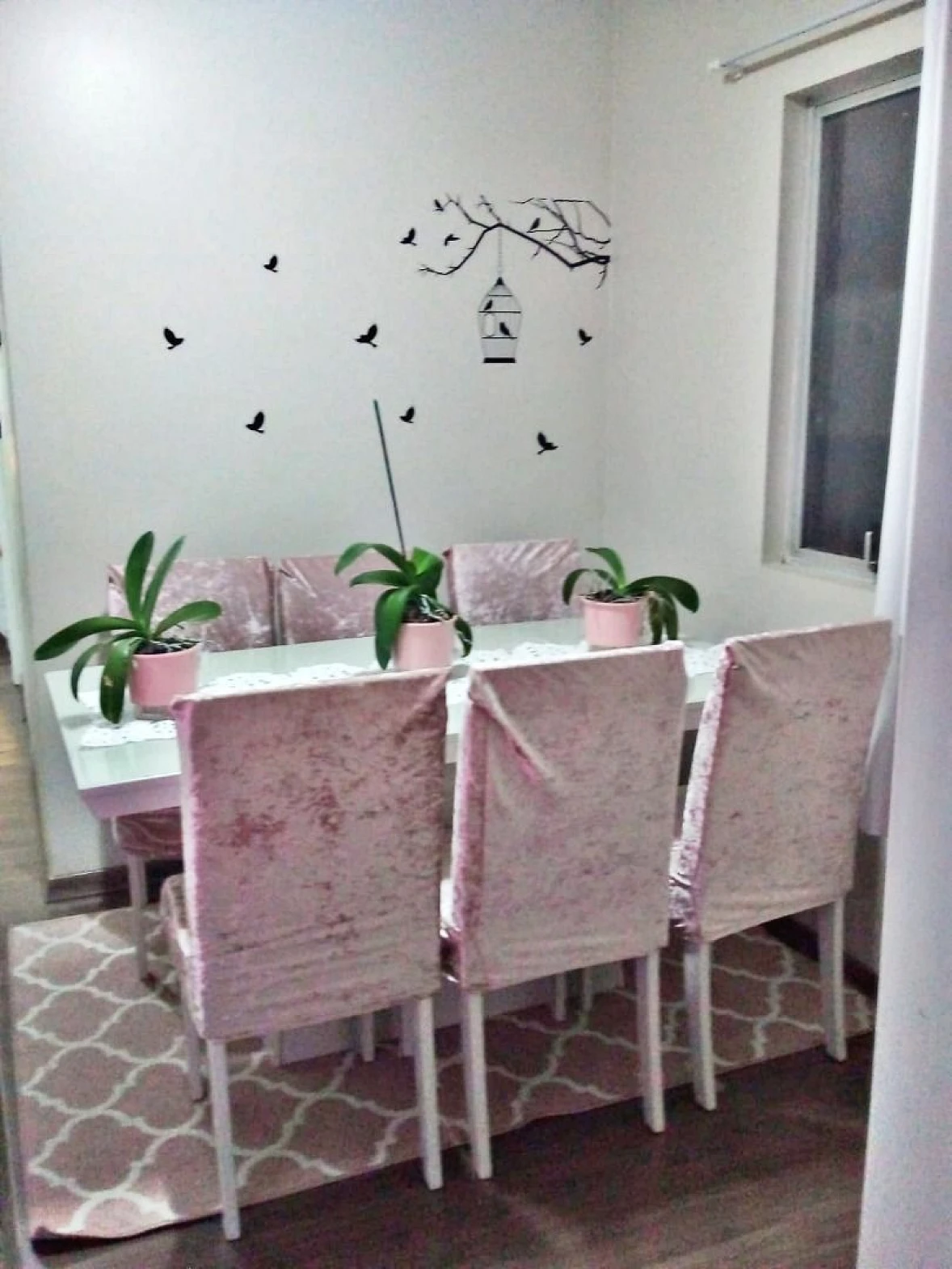 Apartamento em Areias, São José