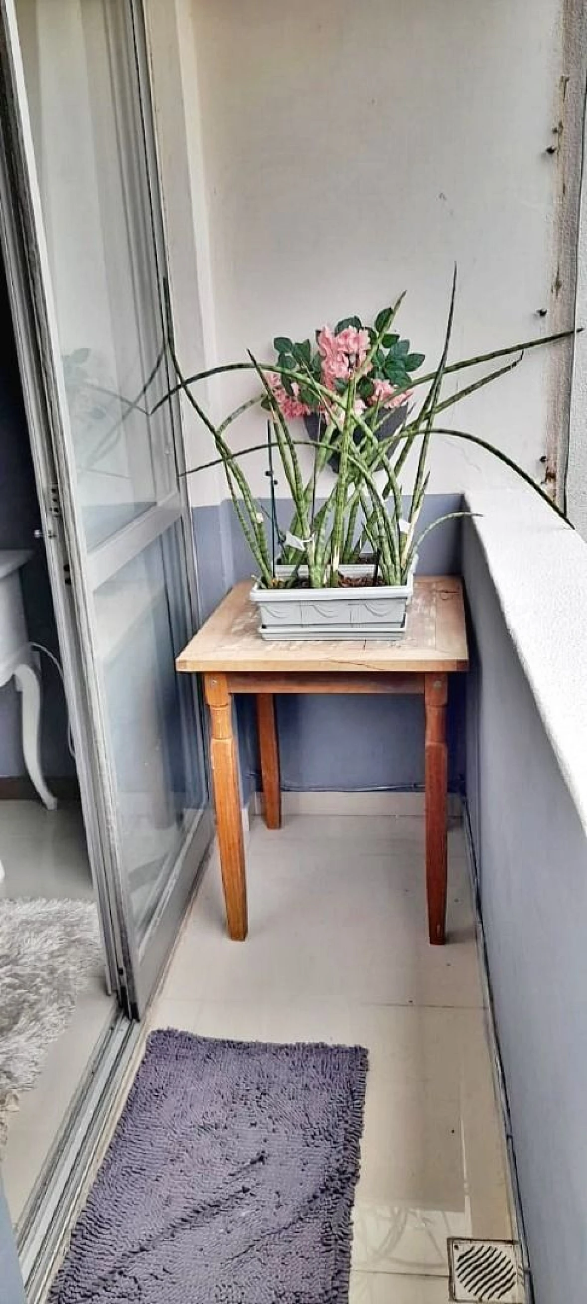 Apartamento em Kobrasol, São José