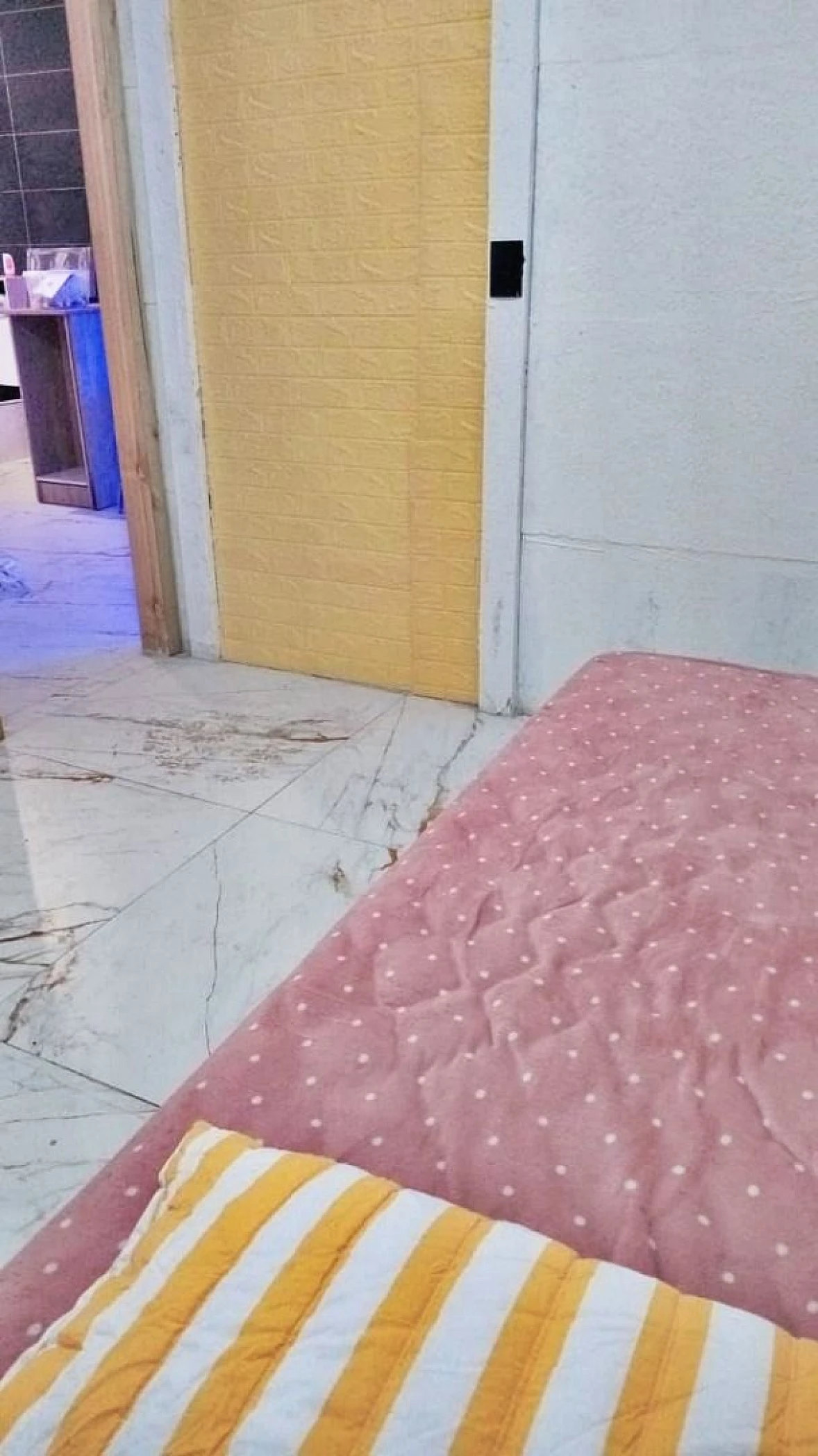 Casa, 5 Quartos, 3 Vagas - Forquilhas - Foto 7