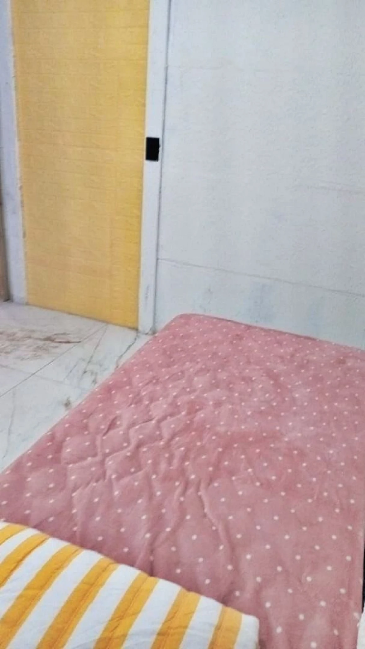 Casa, 5 Quartos, 3 Vagas - Forquilhas - Foto 8
