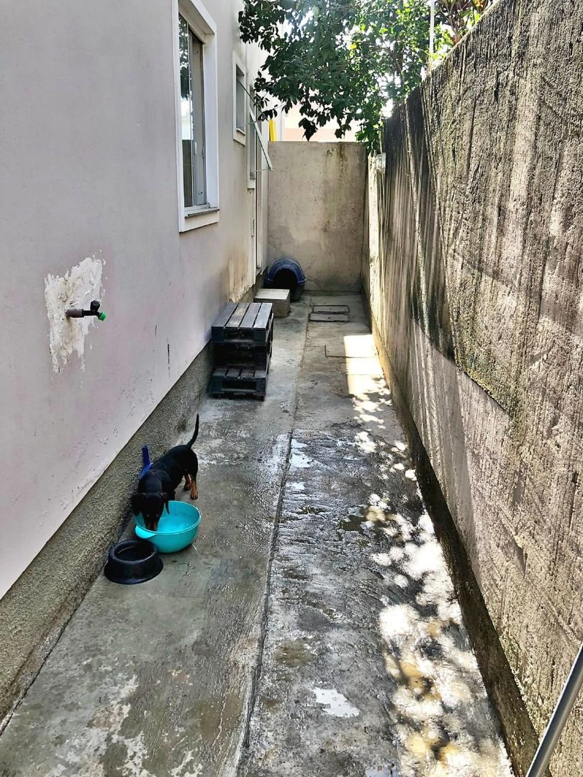 Apto Garden 2 Quartos, 1 Suíte, 1 Vaga - Nova Palhoça - Foto 11